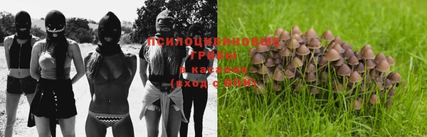индика Тобольск