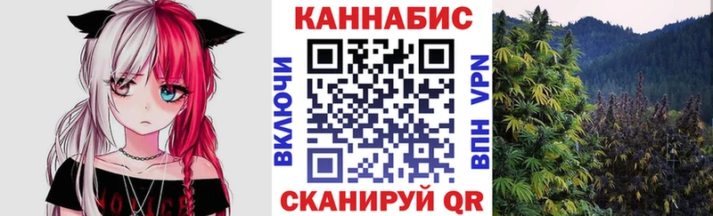 купить   Киренск  Канабис OG Kush 